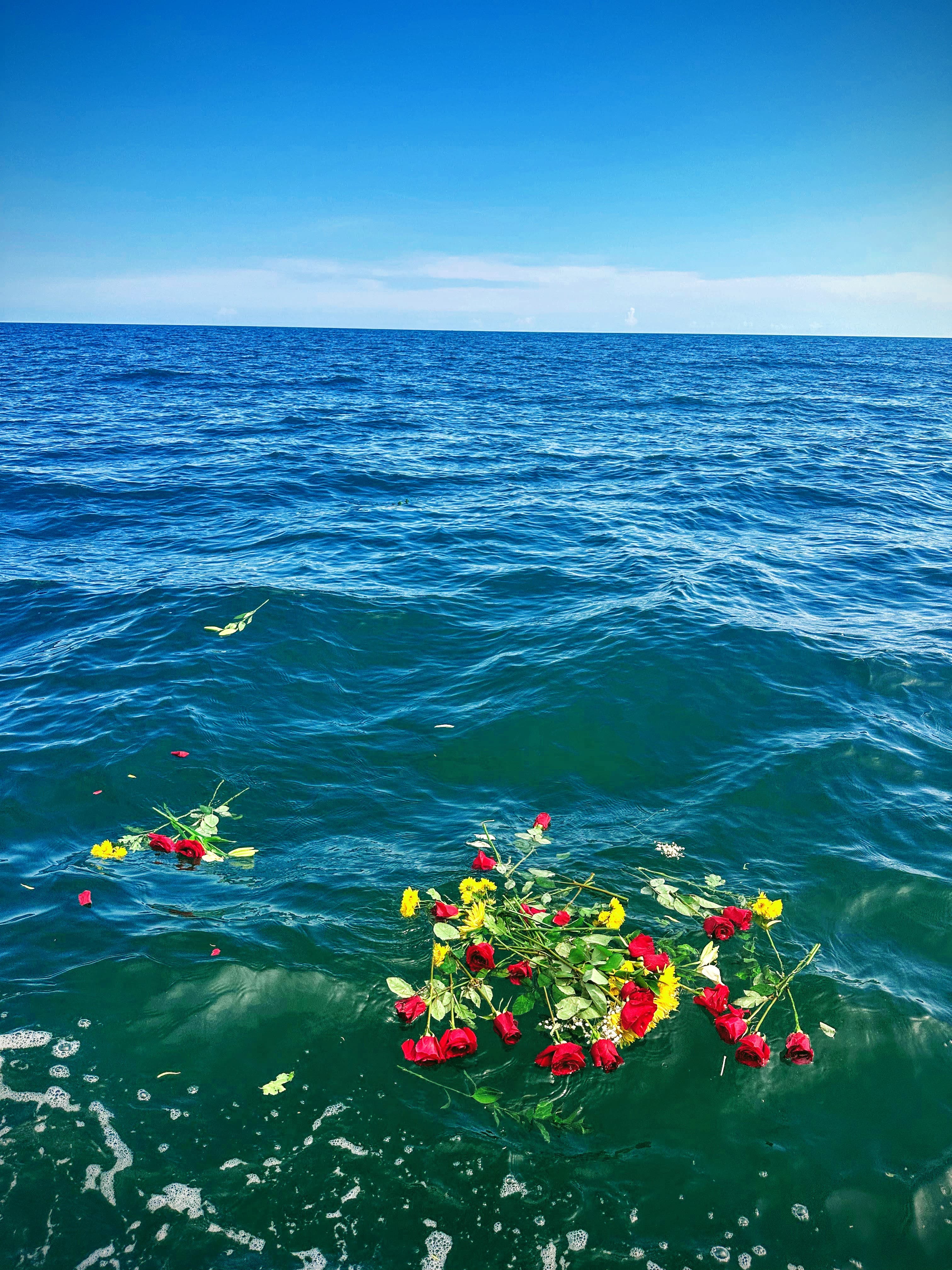 Flowers floating on the open ocean