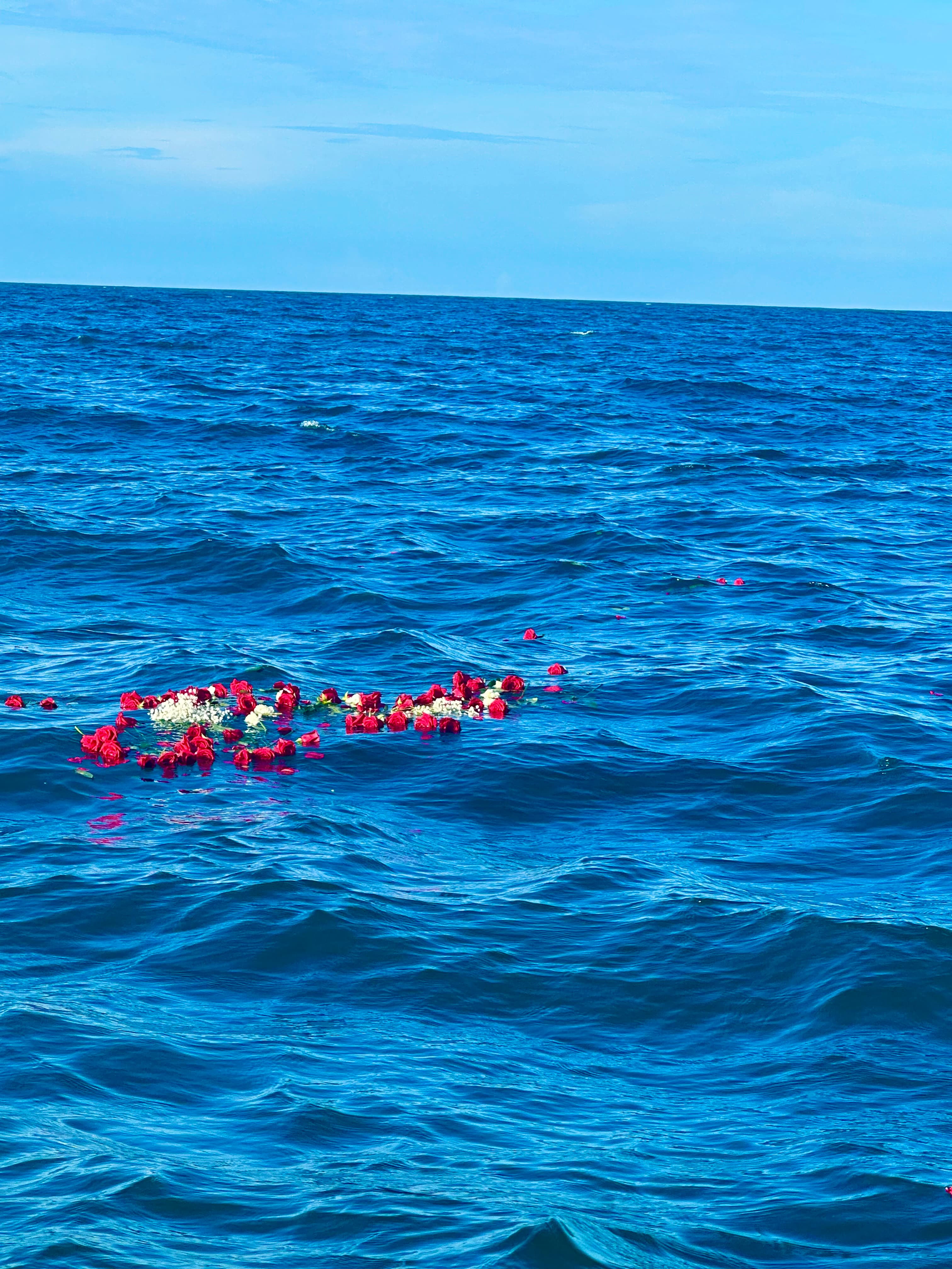 Flowers scattered against deep blue water