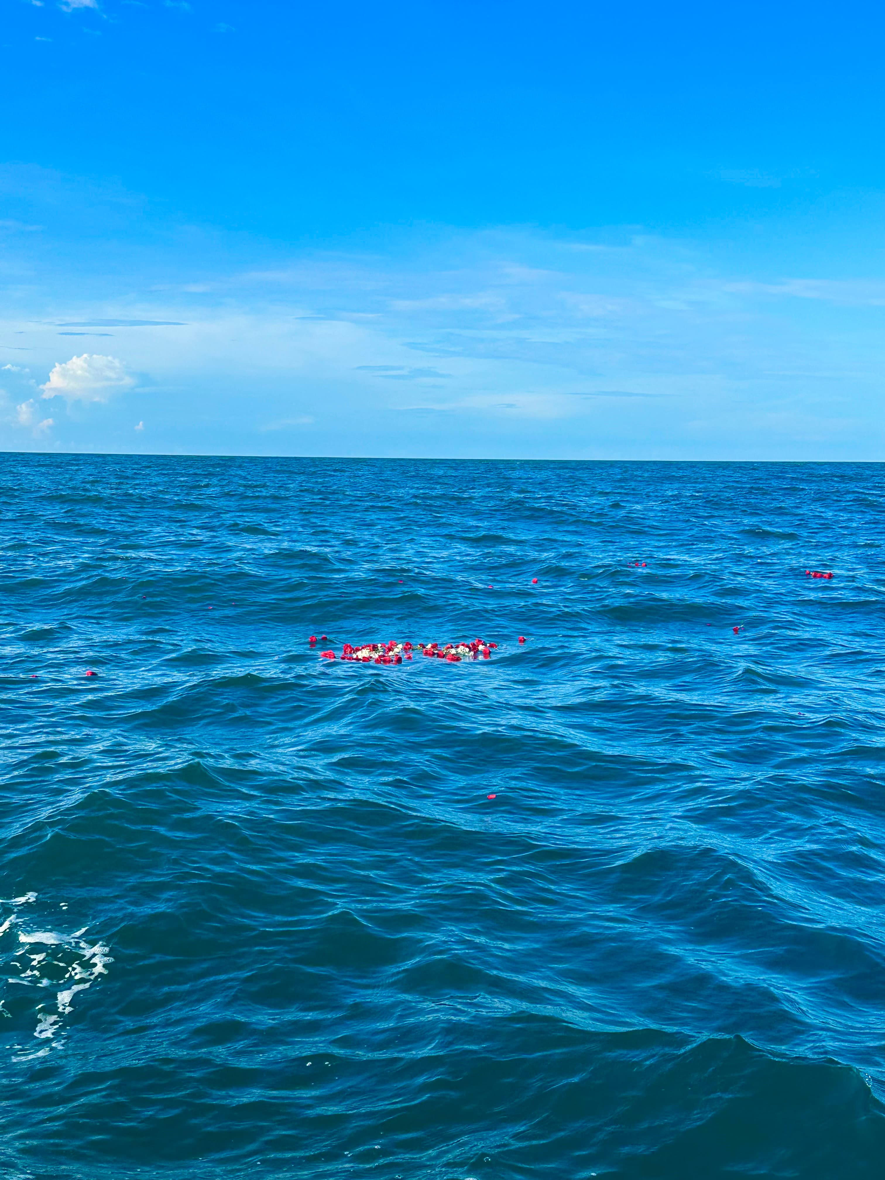 Wide view of flowers scattered at sea
