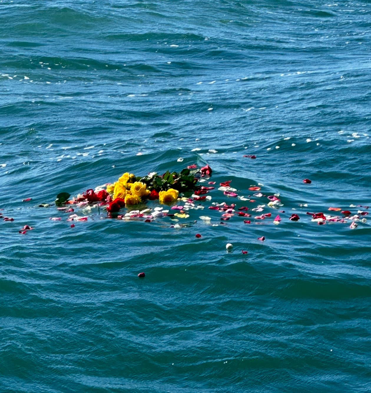 Flower petals gently dispersing across the ocean surface