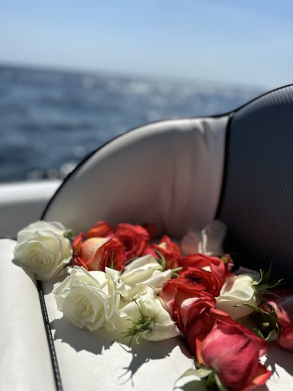 Red and white roses resting on the boat seat at sea